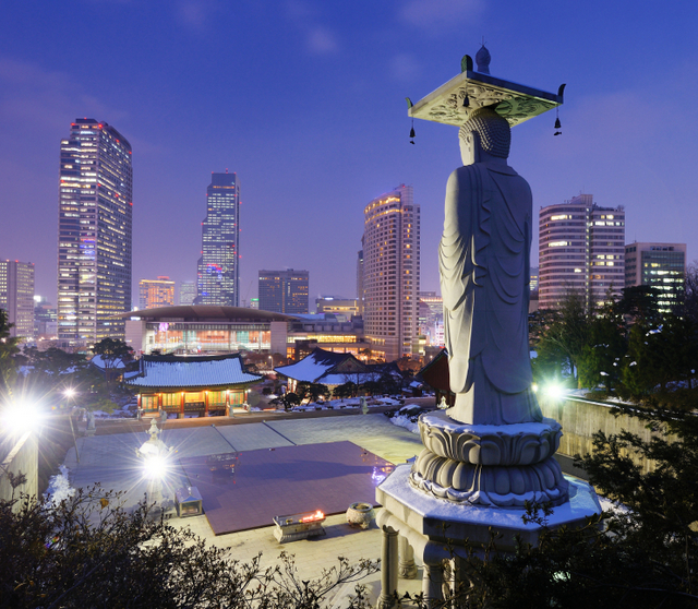 study abroad in south korea