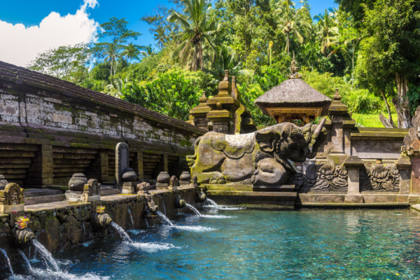 bali_support_11 bali_support_11