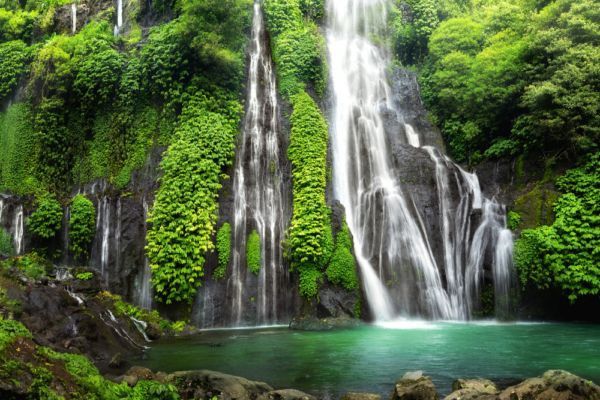 bali_support_5 bali_support_5