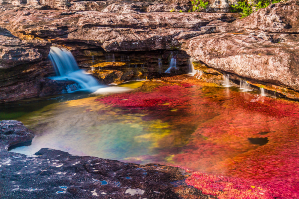 colombia_support_12 colombia_support_12