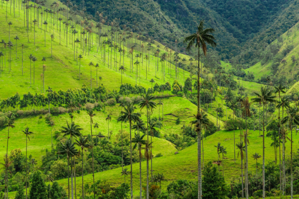 colombia_support_6 colombia_support_6