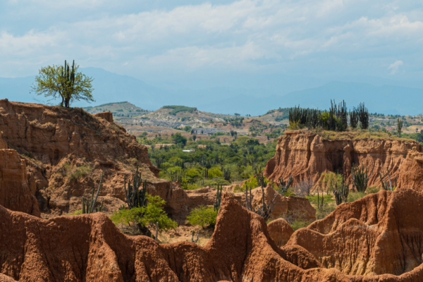 colombia_support_9 colombia_support_9