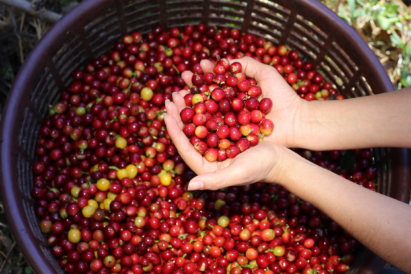 costa_rica_support_7 costa_rica_support_7