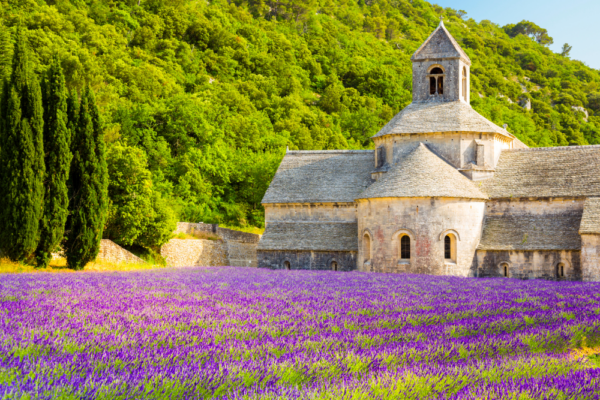france_support_6 france_support_6