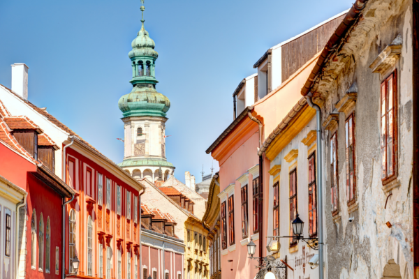 hungary_support_7 hungary_support_7