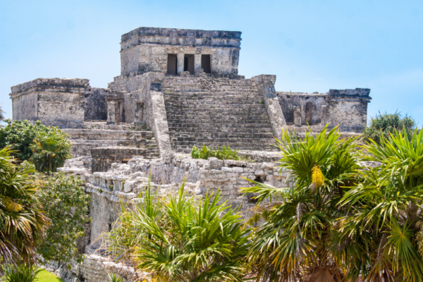 mexico_suppot_10 mexico_suppot_10