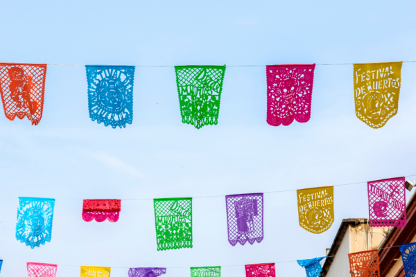 mexico_suppot_9 mexico_suppot_9