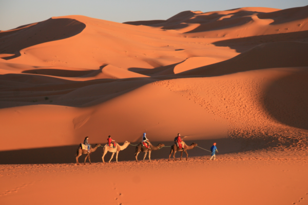 morocco_support_4 morocco_support_4