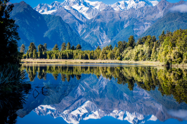 new_zealand_support_1 new_zealand_support_1