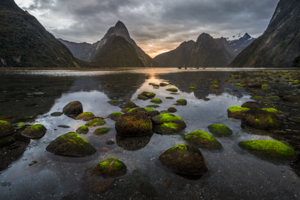 new_zealand_support_10 new_zealand_support_10