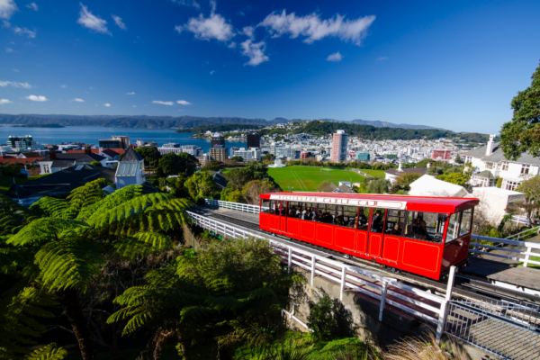 new_zealand_support_12 new_zealand_support_12