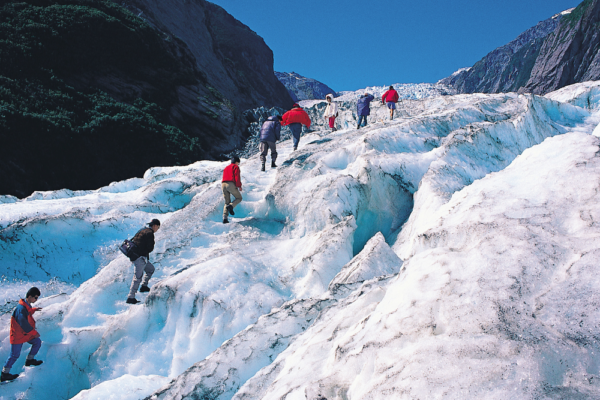 new_zealand_support_3 new_zealand_support_3