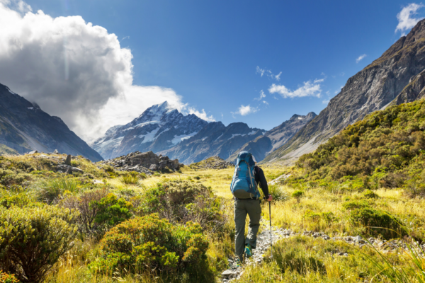 new_zealand_support_7 new_zealand_support_7