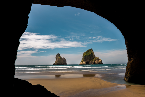 new_zealand_support_8 new_zealand_support_8