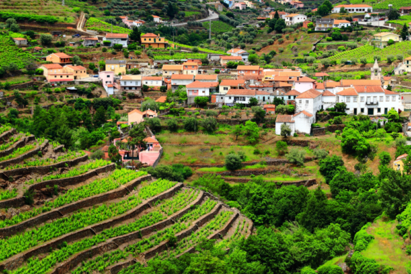 portugal_support_12 portugal_support_12