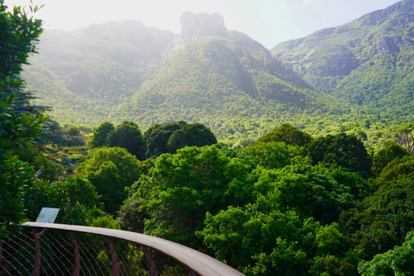 south_africa_support_12 south_africa_support_12