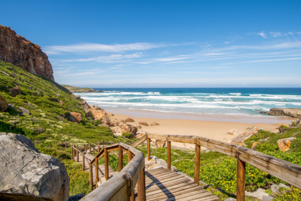 south_africa_support_8 south_africa_support_8