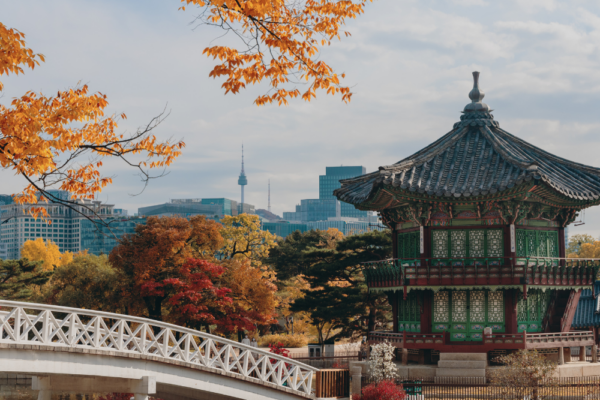 south_korea_support_12 south_korea_support_12