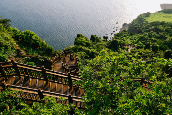 south_korea_support_2 south_korea_support_2