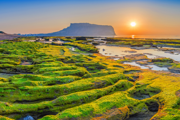 south_korea_support_4 south_korea_support_4