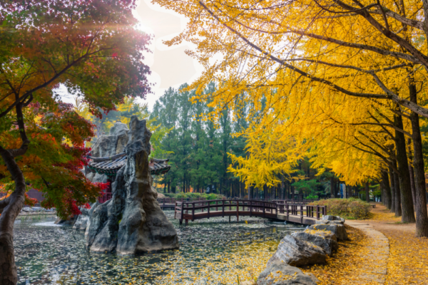 south_korea_support_6 south_korea_support_6