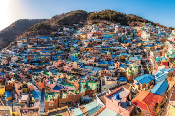 south_korea_support_8 south_korea_support_8