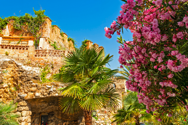 spain_support_1 spain_support_1