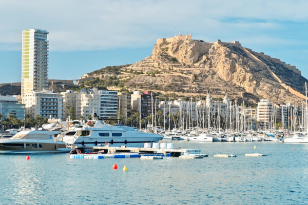 spain_support_12 spain_support_12