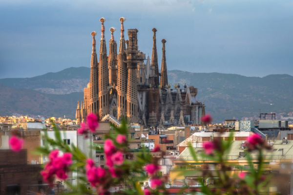 spain_support_9 spain_support_9