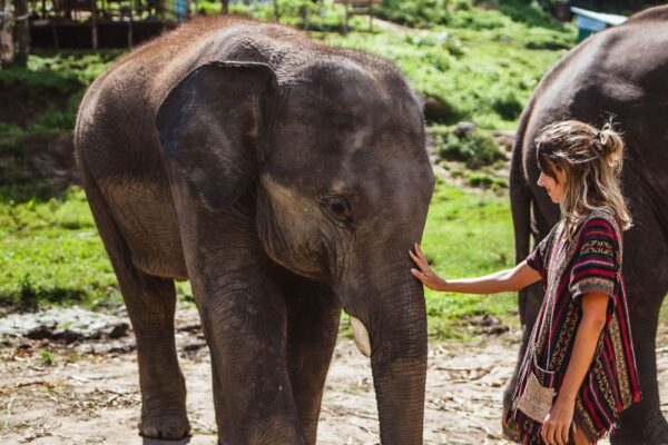 thailand support image-326 thailand support image-326