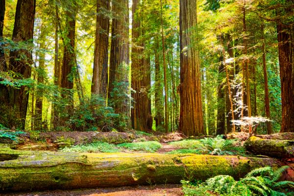 usa-support-11 usa-support-11