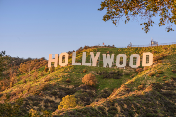 usa-support-3 usa-support-3