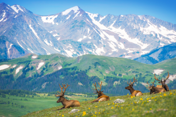 usa-support-4 usa-support-4