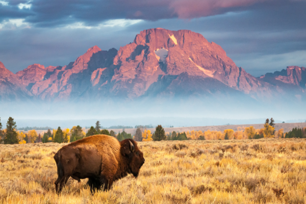 usa-support-8 usa-support-8