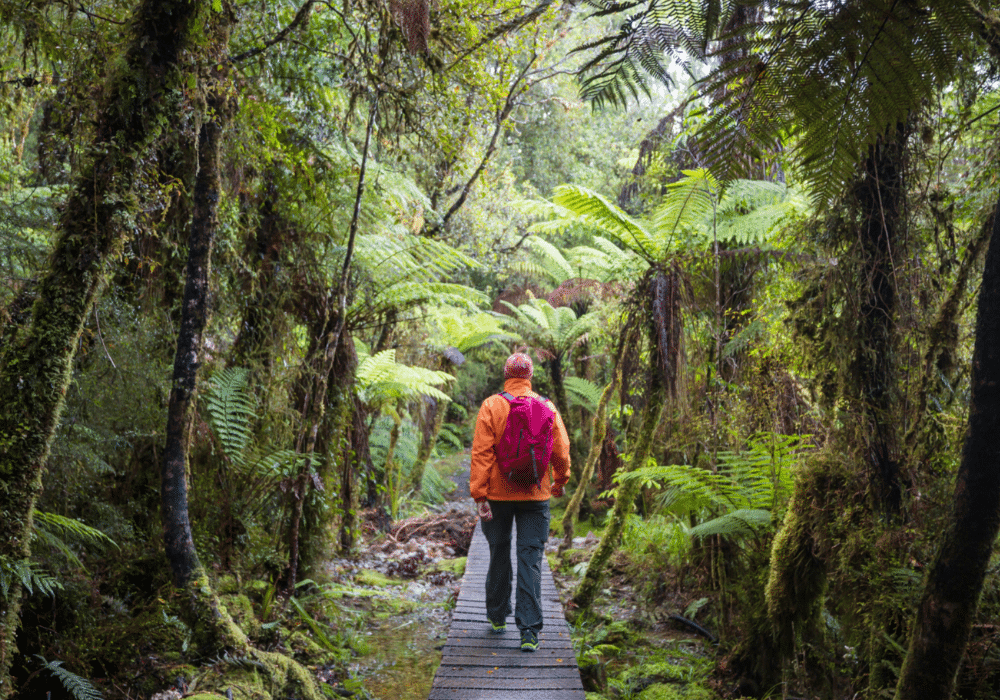 Study abroad destinations for nature enthusiasts