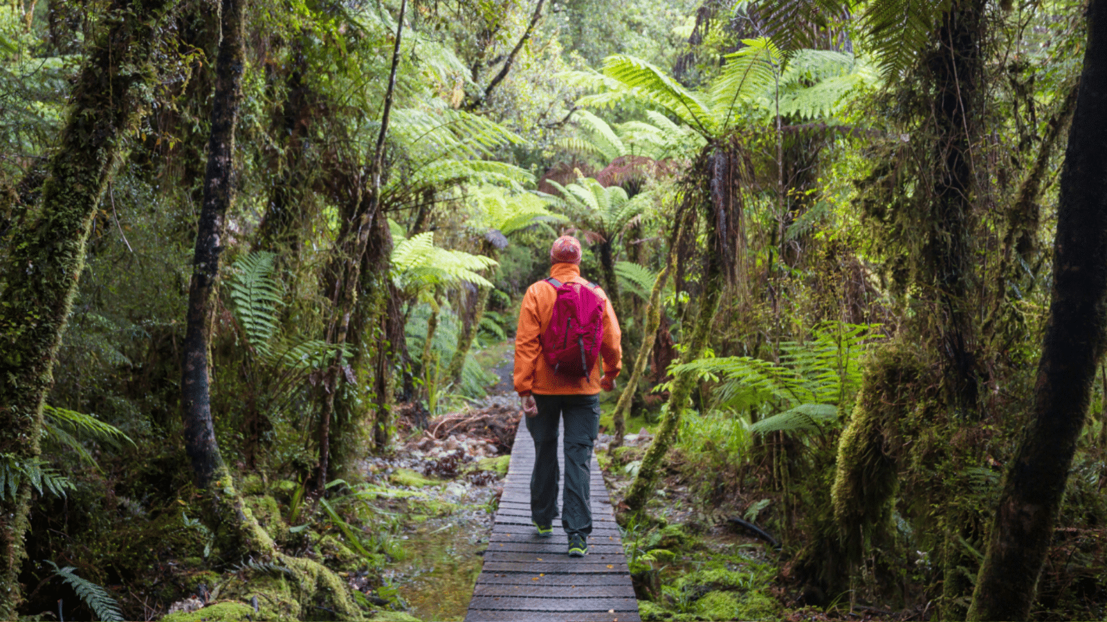 Study Abroad Destinations for Nature Enthusiasts