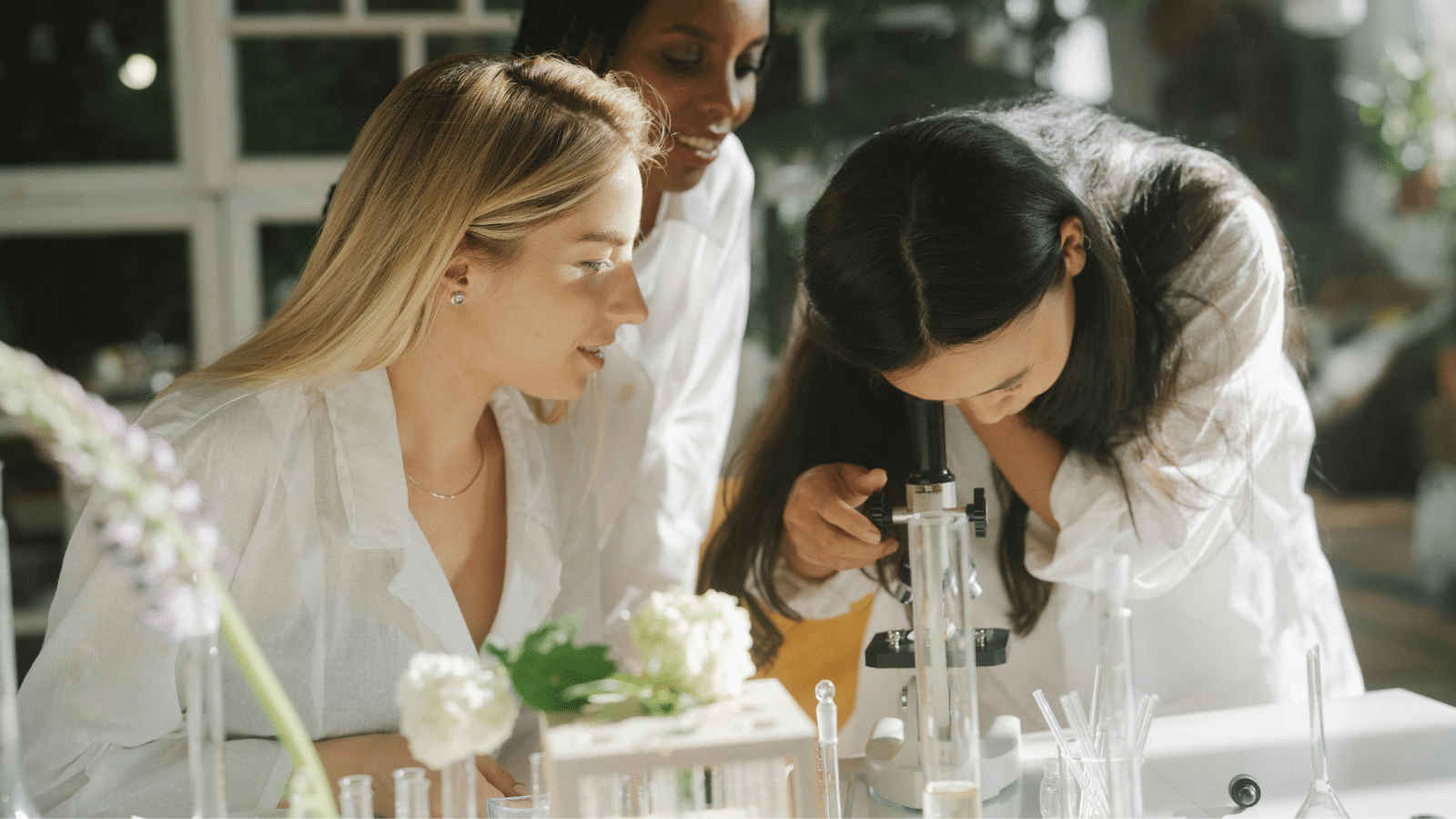 Top Study Abroad Programs for STEM Majors