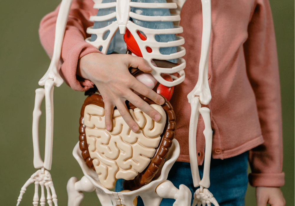 best countries to study health abroad